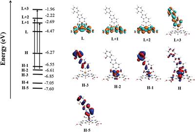 New Cationic fac-[Re(CO)3(deeb)B2]+ Complex, Where B2 Is a Benzimidazole Derivative, as a Potential New Luminescent Dye for Proteins Separated by SDS-PAGE